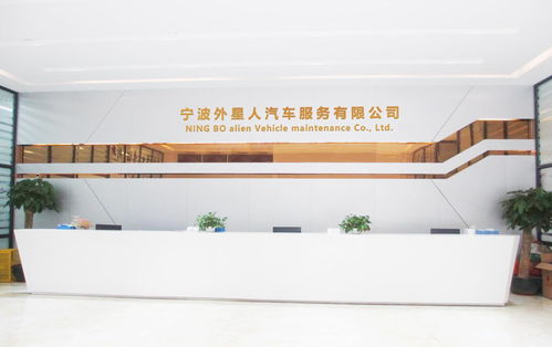 寧波外星人汽車服務 電子商務技術驅動汽車服務新變革