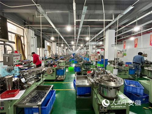 安徽宿松開年生產(chǎn)忙 企業(yè)訂單旺 電子商務(wù)技術(shù)服務(wù)助力發(fā)展